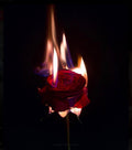 🔥✨ Lust & Passion Ignition Ritual ✨🔥